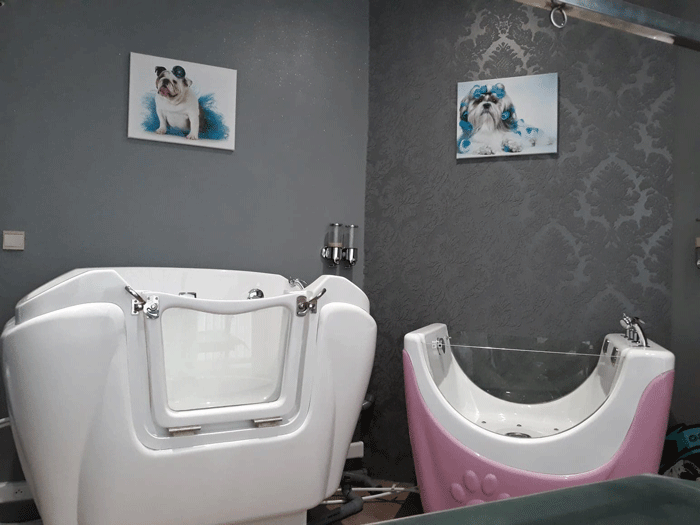 toilettage chiens et chats bullysandco